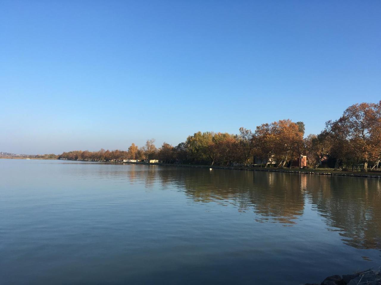 Balatoni Retro Villa Balatonfenyves Dış mekan fotoğraf
